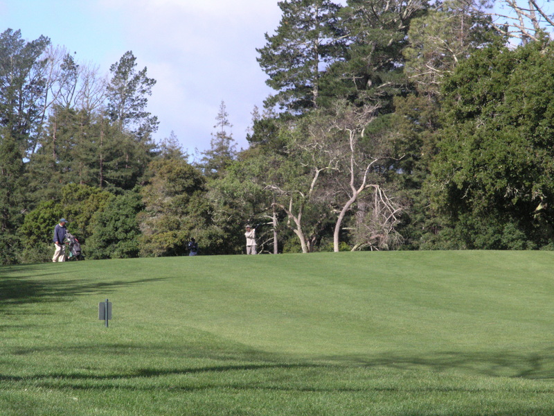 Waiting for the golfers to go past