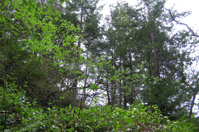 View to the south from the confluence point.