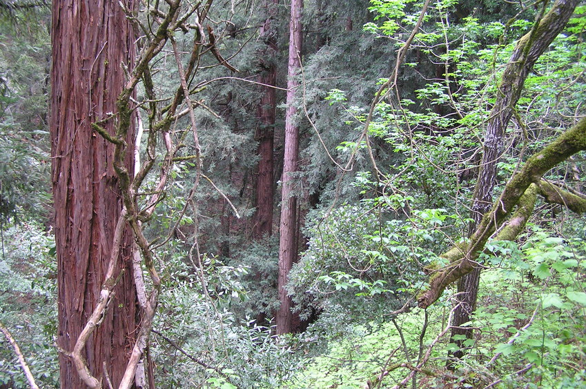 View to the east-northeast from the confluence point.