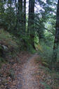 #2: The Confluence is on this trail near the Redwoods on the left.