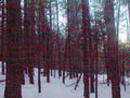 #5: Looking East from Confluence Point.