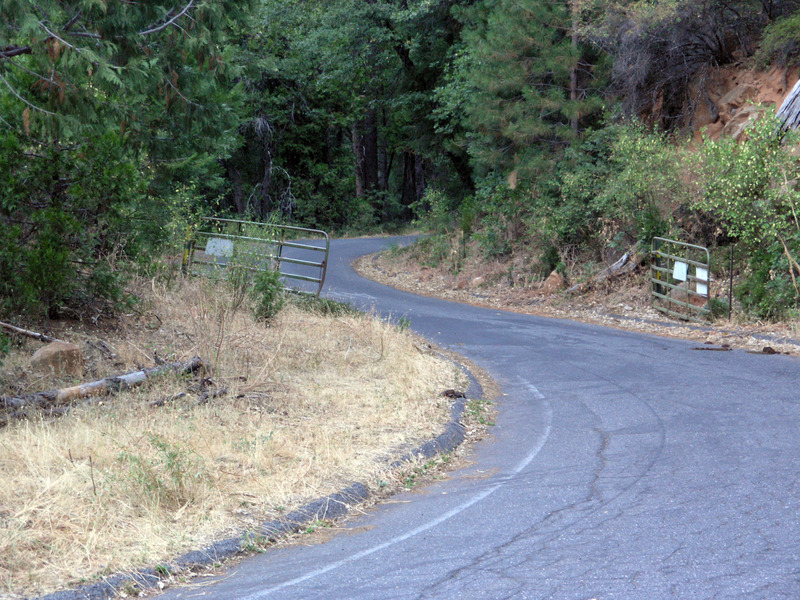 Narrow logging road