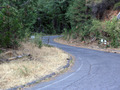 #4: Narrow logging road