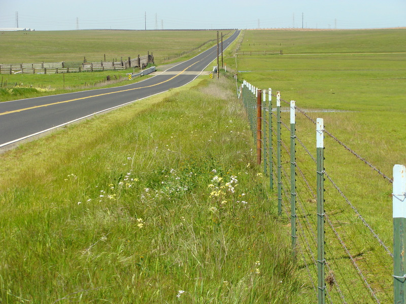 Looking north along Escalon - Bellota Road, also known as “County Road J6.”