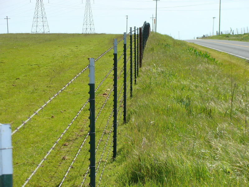 Looking south along County Road J6, also known as “Escalon - Bellota Road.”