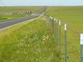 #2: Looking north along Escalon - Bellota Road, also known as “County Road J6.”