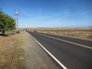 #1: View of the confluence point, located just beyond the fence line