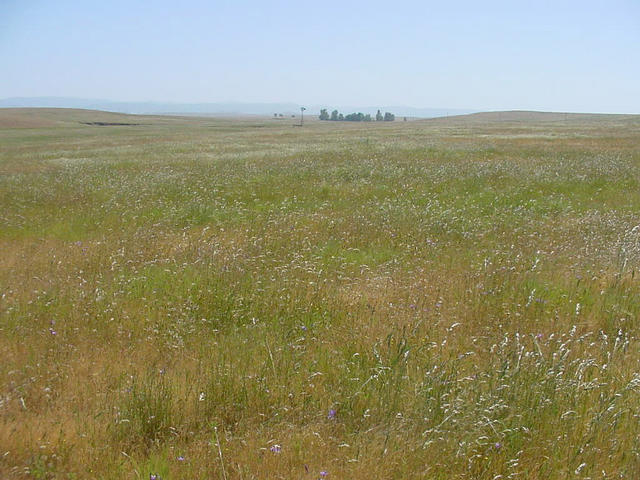 Farmland as we look eastward at the Degree Confluence. Sierra Nevada in the background.