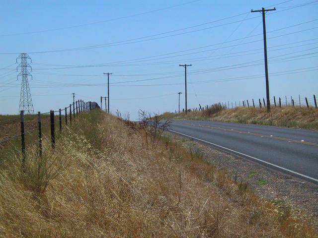 The view south from the confluence.