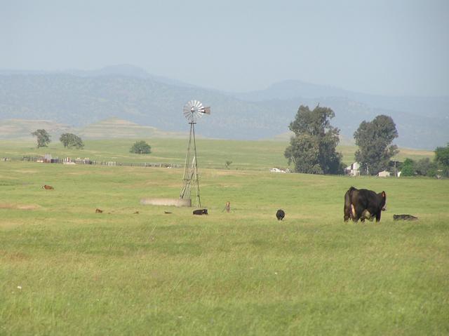 View to the east from the confluence.