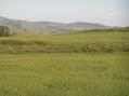 #8: View to the southeast from the confluence showing typical California homes on hillsides.