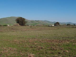 #1: the view west - the confluence is in this field