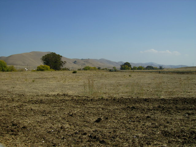 View to East - Confluence is 50 meters in that direction.