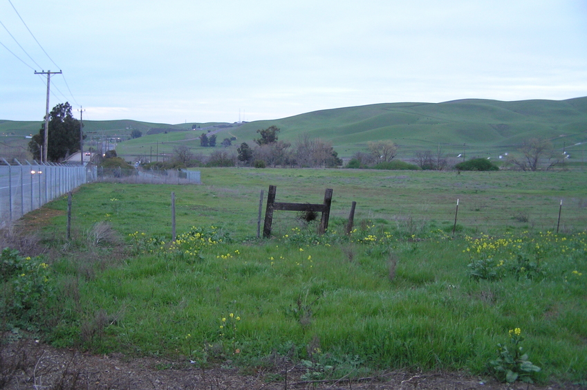 The confluence point is 40 meters to the right of the fence in the middle of this photograph.