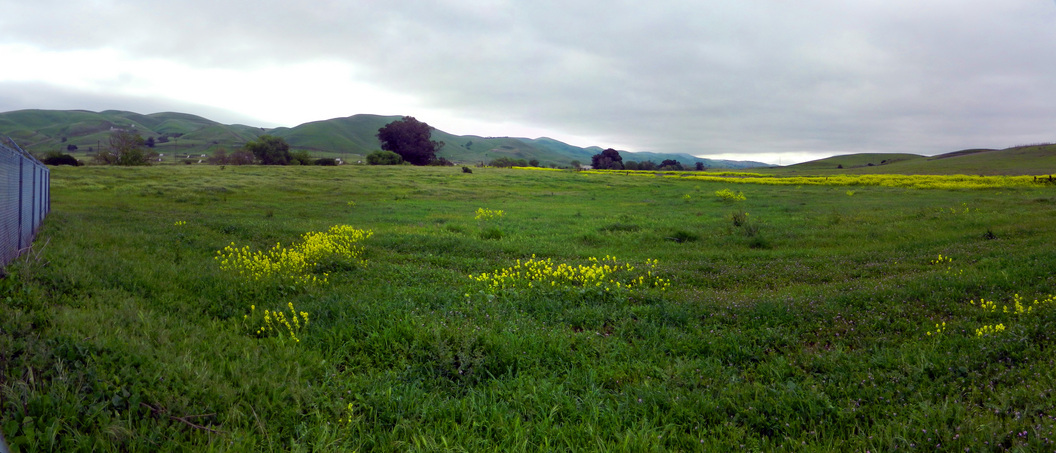 Confluence panorama - NE