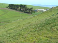 #7: Looking to the northeast towards A Ranch.