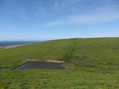 #2: View looking north, towards the pond