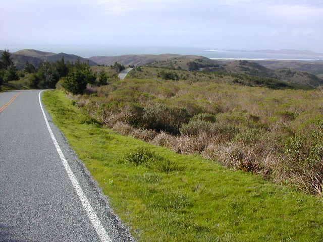 The road through Point Reyes National Seashore