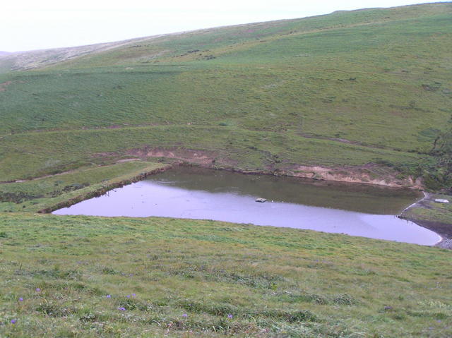 View of the pond to the north from the confluence of 38 North 123 West.