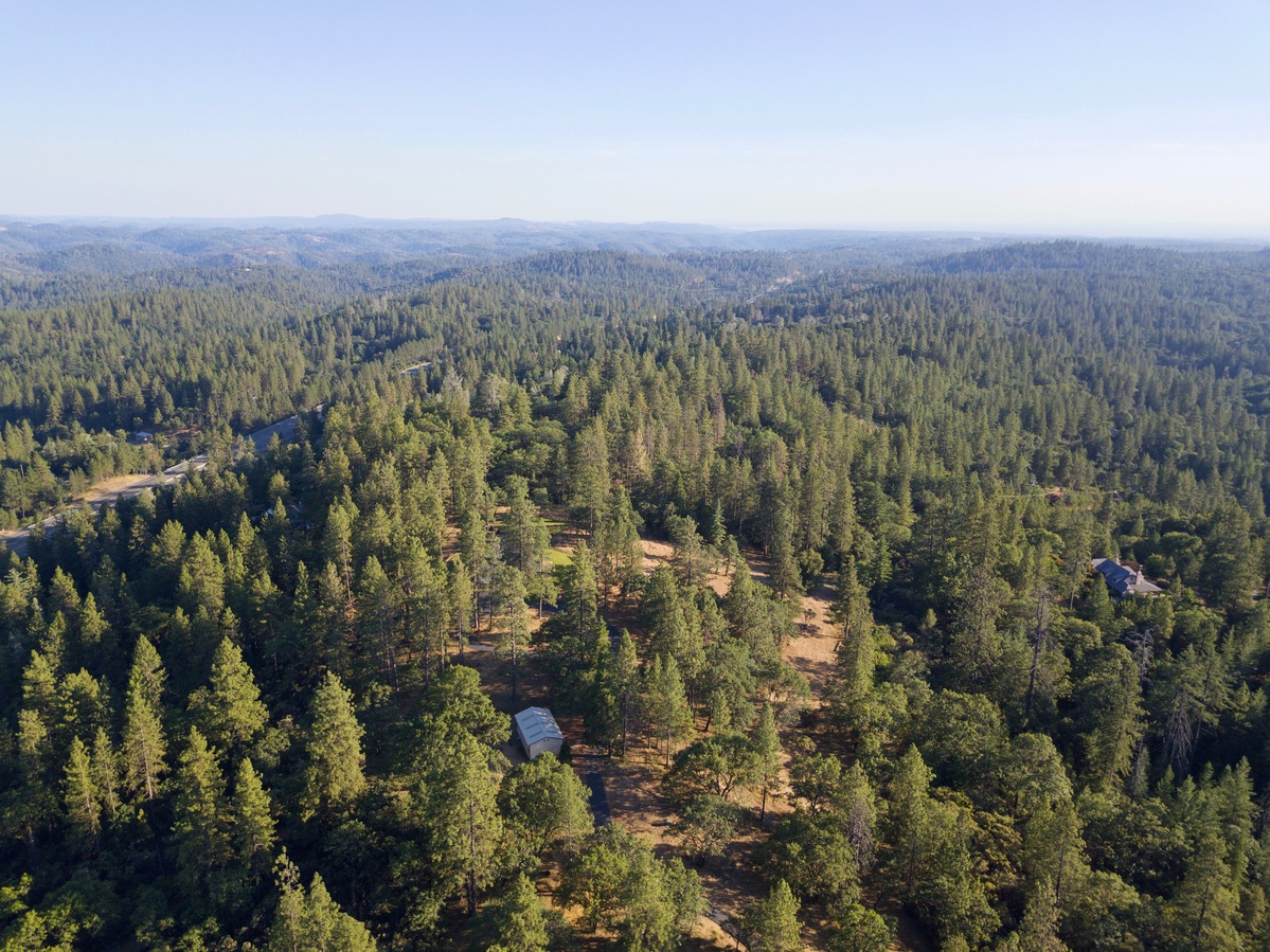 View South, from 120m above the point