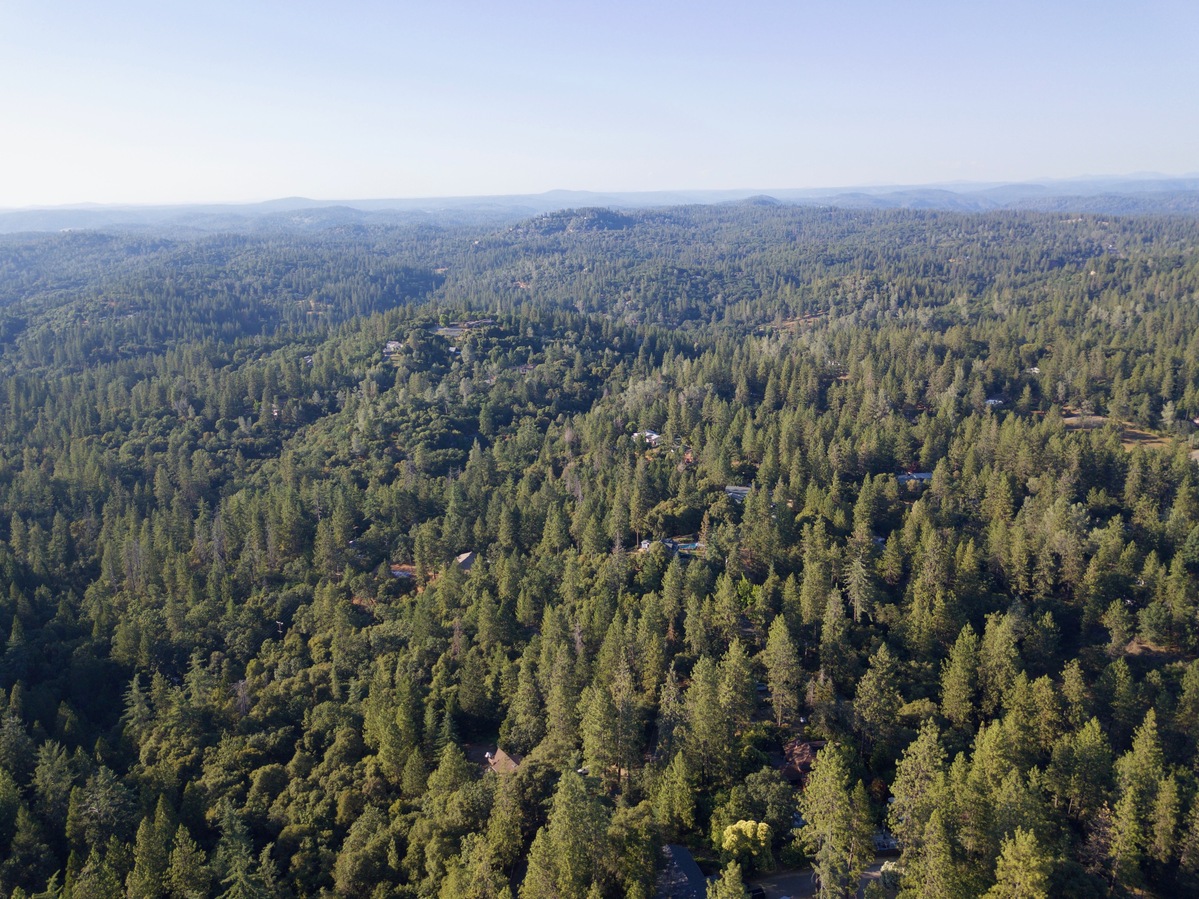 View North, from 120m above the point