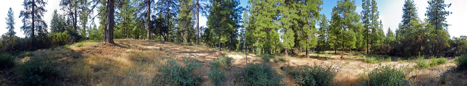 360-degree panorama from the open area, taken 30 m sw of the point