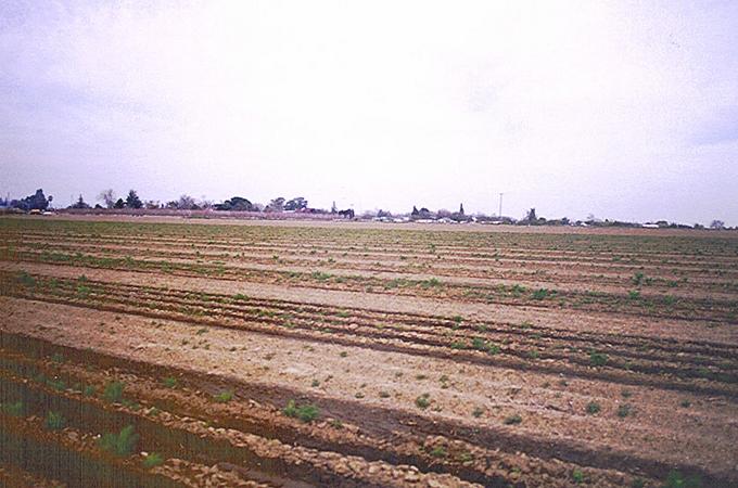 Looking northwest toward College City