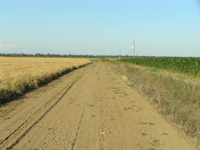 Nearest road to confluence, looking east, a few hundred meters south of the point.  To reach the confluence, I turned left into the wheat field.