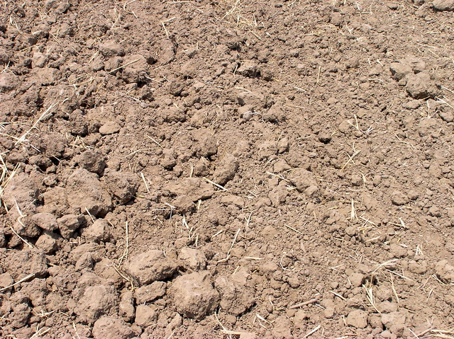 The confluence point lies within this (currently plowed) field