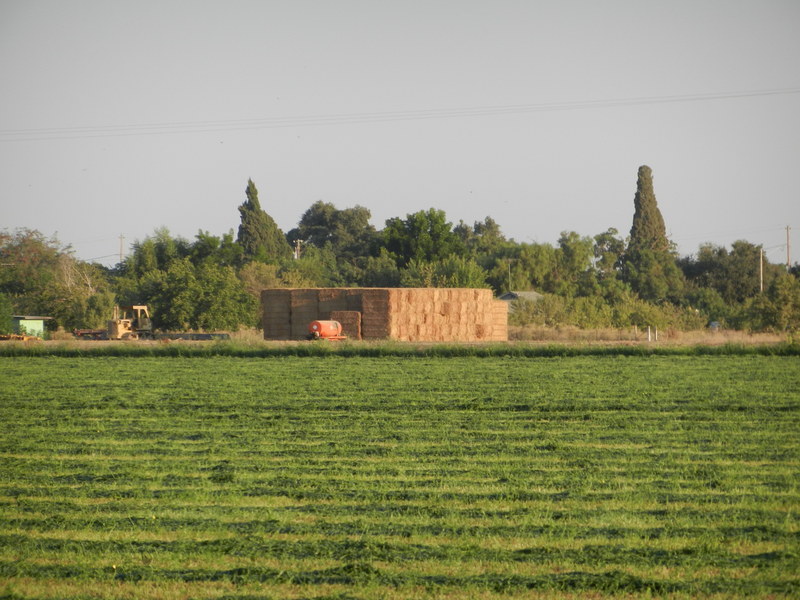 Second (older) hay stack, NW of the point