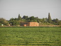 #3: Second (older) hay stack, NW of the point