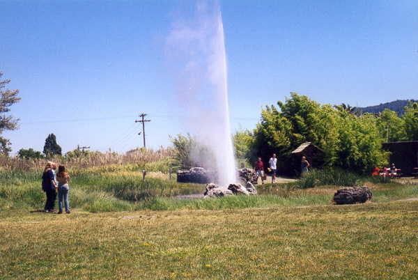 Old Faithful Geyser in Calistoga