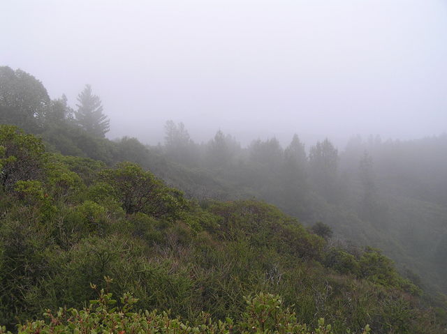 A shrouded northeast view from the confluence.  Beautiful spot!