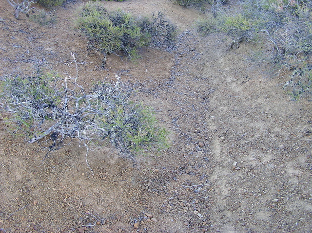 The confluence point lies on a chaparral-covered slope