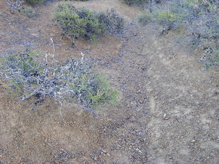 #1: The confluence point lies on a chaparral-covered slope