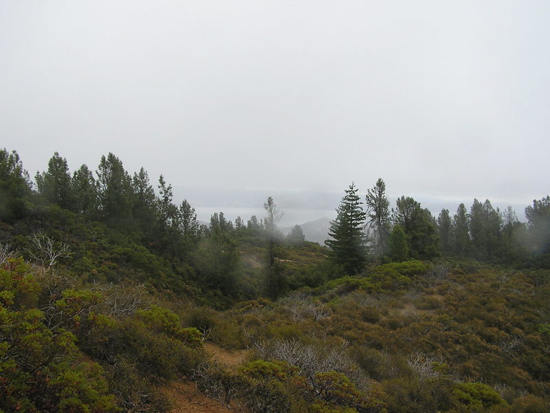 View to the east (with Clear Lake in the background).