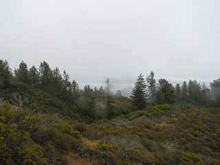 #1: View to the east (with Clear Lake in the background).