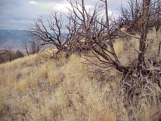 #1: Site of the confluence, looking west to the Sierra Nevada.