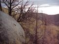 #7: View to the east from the confluence, looking from California into Nevada.