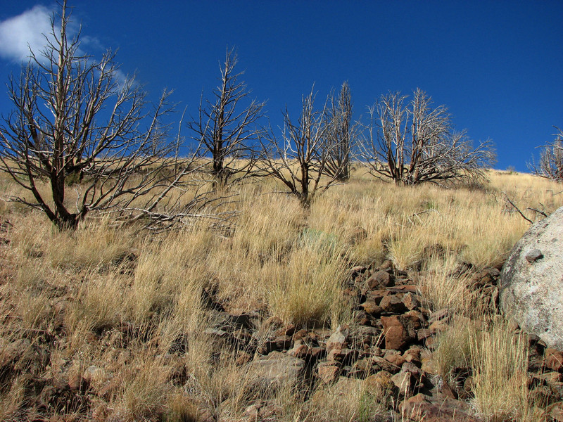 View north towards the top of the mountain.