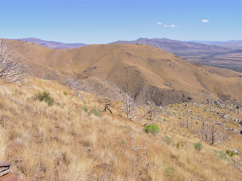 View East (looking into Nevada)