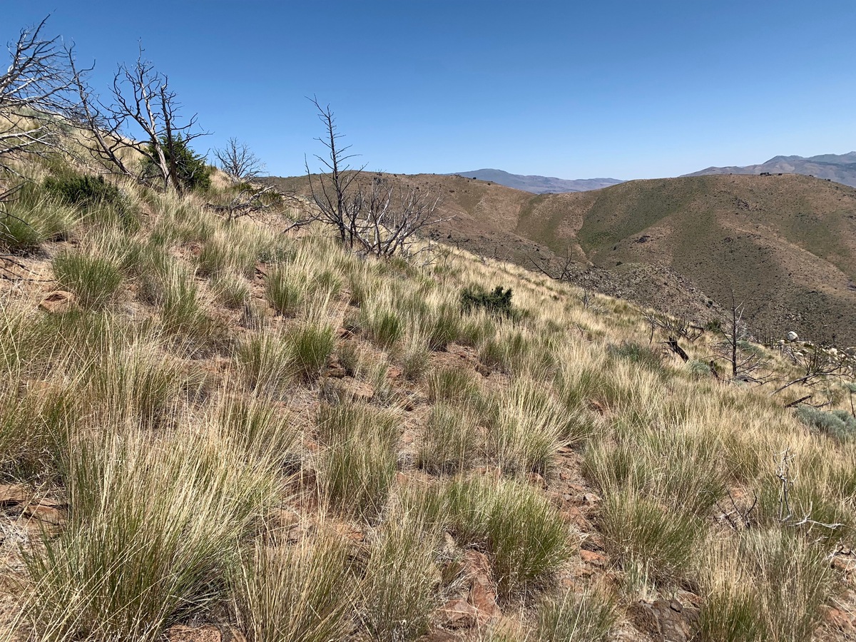 View East (towards Nevada, about 0.1 miles away)