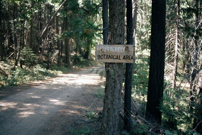 Entering Butterfly Valley Botanical Area