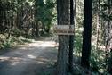 #4: Entering Butterfly Valley Botanical Area