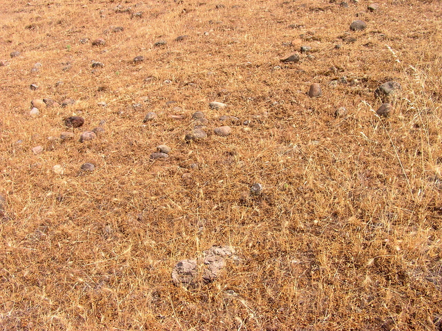 The confluence point lies on a grassy, rock-studded hillside