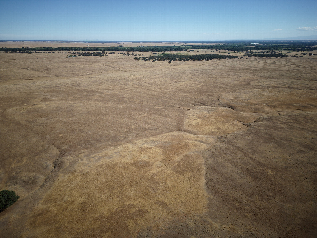 View South, from 120m above the point