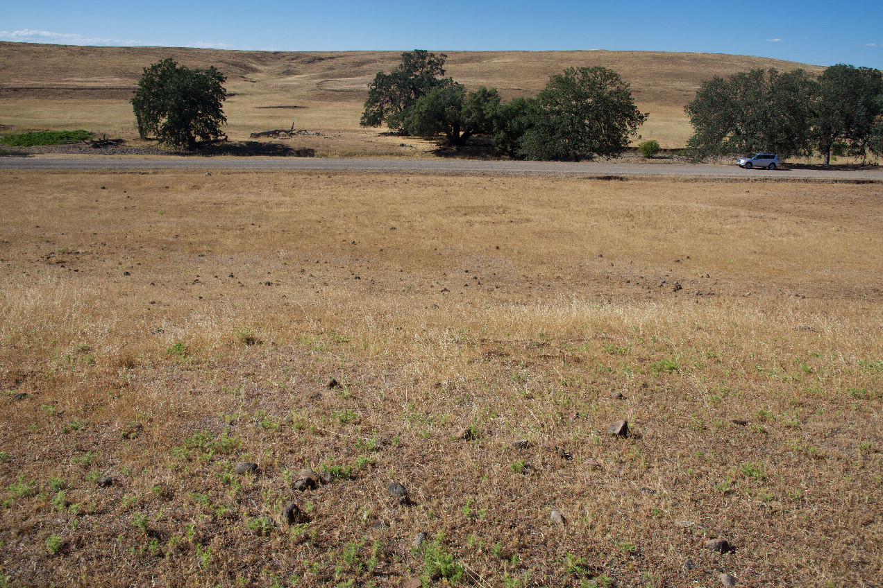 The confluence point lies on a grassy hillside, in ranchland.  (This is also a view to the North, across the access road, 200 feet away.)