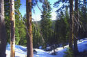 #2: Looking north down the ravine. The confluence is just to the left of the pictuer