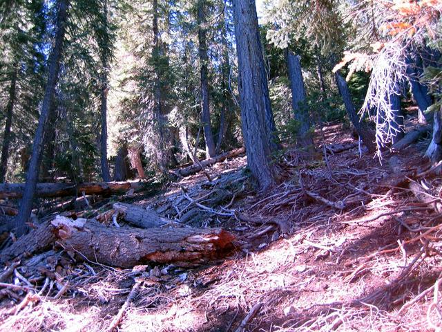 Looking South and 800 feet below Hammerhorn Ridge