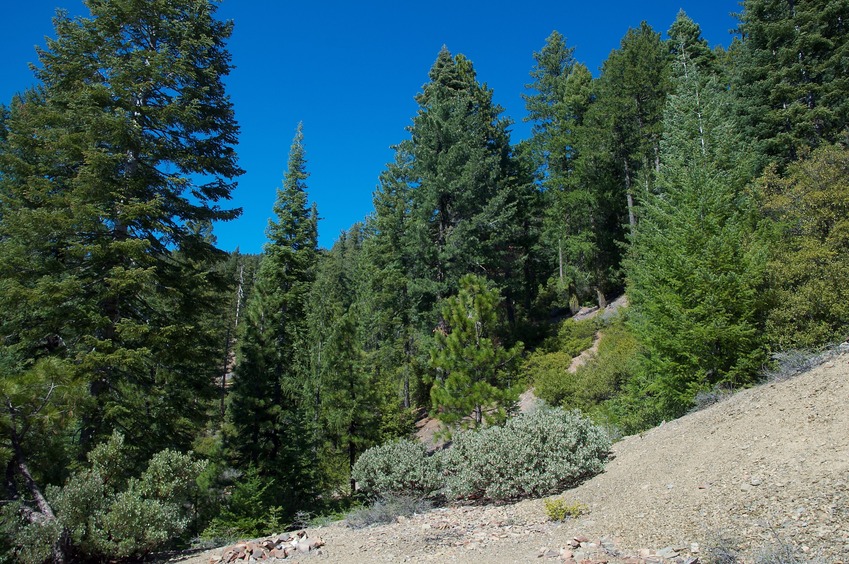 Where I started the hike: At the end of Ant Ridge Road, about 1.5 miles south of the Confluence Point